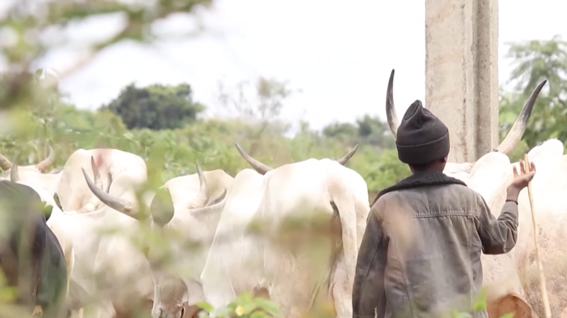Climate_Crisis_Fuels_Deadly_Farmer_Herder_Clashes_in_Nigeria_poster - Khabar Asia Climate_Crisis_Fuels_Deadly_Farmer_Herder_Clashes_in_Nigeria video poster
