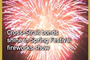 Cross_Strait_Unity_Lights_Up_Lunar_New_Year_Skies video poster