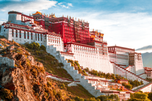 Dalai_Lama_s_2026_Grammy_Win_Ignites_Debate_on_Art_vs__Politics