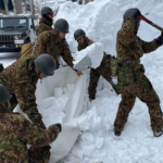Deadly_Snowstorms_Claim_30_Lives_in_Japan__Disrupt_Travel_and_Economy