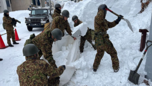 Deadly_Snowstorms_Claim_30_Lives_in_Japan__Disrupt_Travel_and_Economy