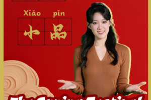 Decoding_the_Spring_Festival_Gala__Must_Know_Terms_for_2026_Celebrations video poster