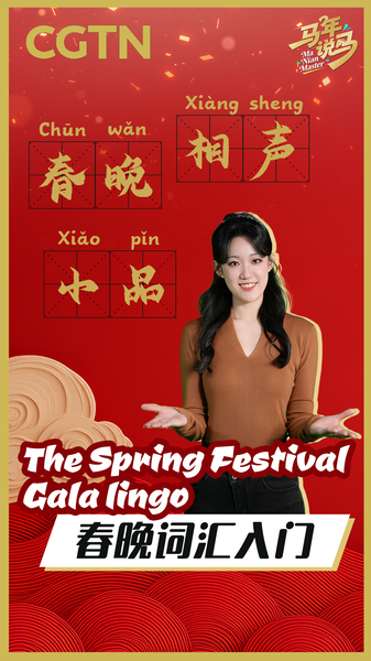 Decoding_the_Spring_Festival_Gala__Must_Know_Terms_for_2026_Celebrations video poster