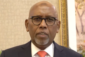 Djibouti_Extends_Chinese_New_Year_Greetings__Eyes_Stronger_Ties_with_China video poster