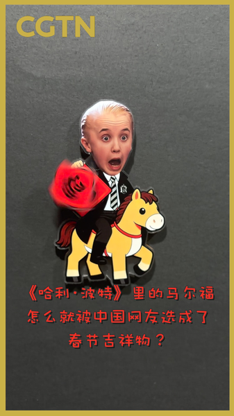 Draco_Malfoy_s_Unlikely_Rise_as_China_s_2026_Lunar_Mascot video poster