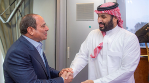 Egypt__Saudi_Arabia_Push_for_Gaza_Ceasefire_and_US_Backed_Peace_Plan