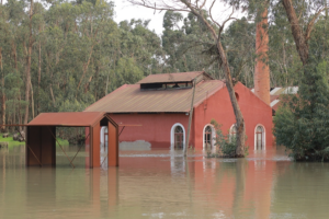 Europe_Reels_From_Dual_Weather_Extremes__Floods_and_Arctic_Cold