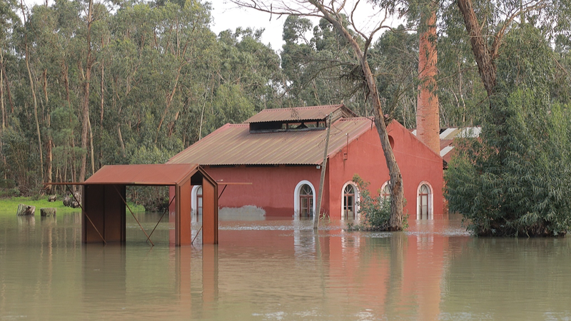 Europe_Reels_From_Dual_Weather_Extremes__Floods_and_Arctic_Cold