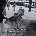 Ewenki_Reindeer_Herding__A_Cultural_Bridge_in_China_s_Wilderness video poster