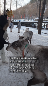 Ewenki_Reindeer_Herding__A_Cultural_Bridge_in_China_s_Wilderness video poster