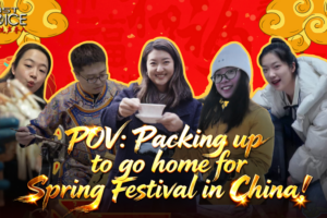 Experience_Spring_Festival_Traditions_Across_China_s_Cities video poster