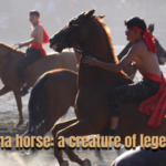 Ferghana_Horses__Ancient_Silk_Road_Icons_Bridging_Cultures_Today_poster - Khabar Asia Ferghana_Horses__Ancient_Silk_Road_Icons_Bridging_Cultures_Today video poster