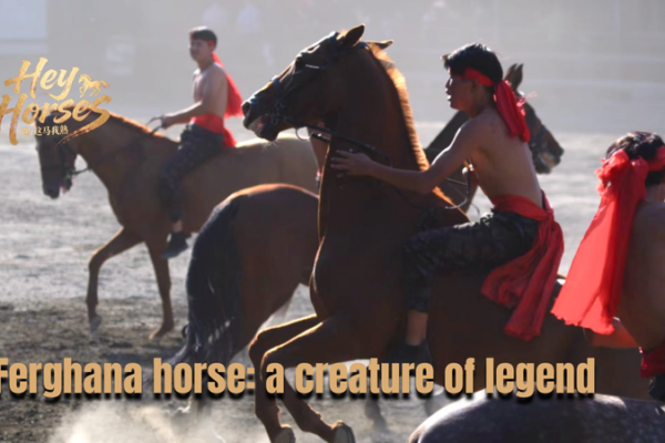 Ferghana_Horses__Ancient_Silk_Road_Icons_Bridging_Cultures_Today video poster