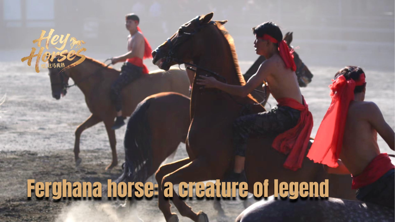 Ferghana_Horses__Ancient_Silk_Road_Icons_Bridging_Cultures_Today video poster