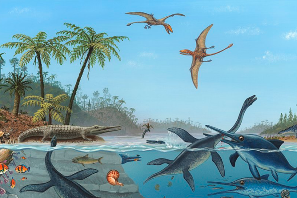 First_Jurassic_Amphibian_Footprints_Discovered_in_Beijing__Rewriting_Ancient_Asian_Ecology