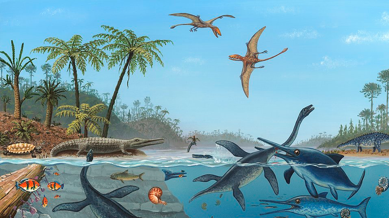 First_Jurassic_Amphibian_Footprints_Discovered_in_Beijing__Rewriting_Ancient_Asian_Ecology