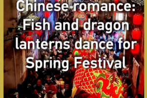 Fish_and_Dragon_Lanterns_Illuminate_Spring_Festival_Traditions video poster