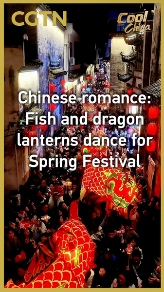Fish_and_Dragon_Lanterns_Illuminate_Spring_Festival_Traditions video poster