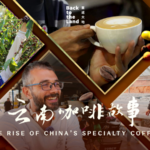 From_Pu_er_to_the_World__China_s_Specialty_Coffee_Revolution_Brews_in_Yunnan video poster