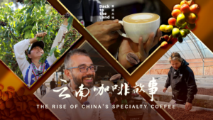 From_Pu_er_to_the_World__China_s_Specialty_Coffee_Revolution_Brews_in_Yunnan video poster