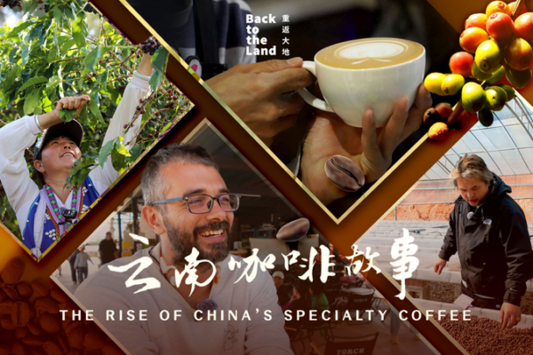 From_Pu_er_to_the_World__China_s_Specialty_Coffee_Revolution_Brews_in_Yunnan video poster