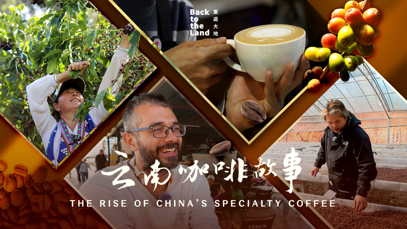 From_Pu_er_to_the_World__China_s_Specialty_Coffee_Revolution_Brews_in_Yunnan_poster - Khabar Asia From_Pu_er_to_the_World__China_s_Specialty_Coffee_Revolution_Brews_in_Yunnan video poster