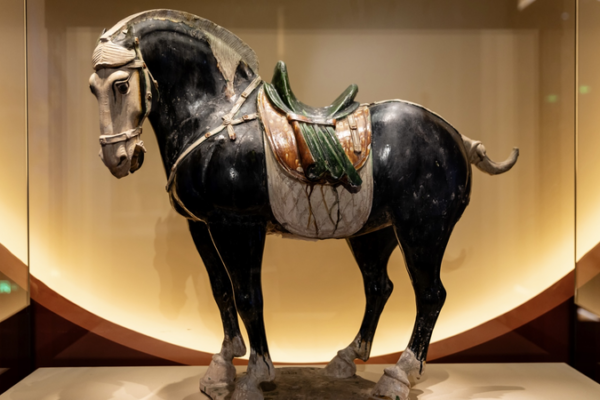 Galloping_Forward__Horse_Exhibition_Marks_2026_Lunar_New_Year_in_Beijing video poster