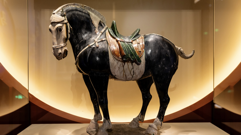 Galloping_Forward__Horse_Exhibition_Marks_2026_Lunar_New_Year_in_Beijing video poster