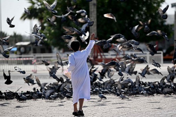 Global_Governance_at_a_Crossroads__Unity_vs__Survival_of_the_Fittest_in_2026