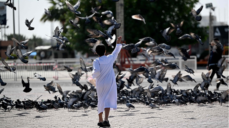 Global_Governance_at_a_Crossroads__Unity_vs__Survival_of_the_Fittest_in_2026