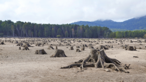 Global_Growth_Models_Threaten_Biodiversity__Warns_Landmark_2026_Report