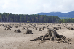 Global_Growth_Models_Threaten_Biodiversity__Warns_Landmark_2026_Report