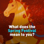 Global_Leaders_Reflect_on_Spring_Festival_s_Cultural_Significance_in_2026 video poster