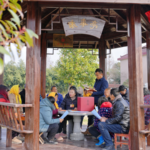 Grassroots_Democracy_Thrives_in_China_Ahead_of_2026_Two_Sessions