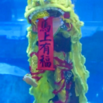 Guangzhou_Aquarium_Hosts_Spectacular_Underwater_Lion_Dance_and_Dunhuang_Fusion_Show video poster