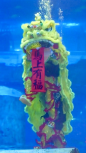 Guangzhou_Aquarium_Hosts_Spectacular_Underwater_Lion_Dance_and_Dunhuang_Fusion_Show video poster