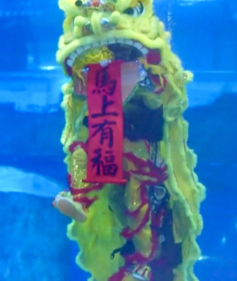 Guangzhou_Aquarium_Hosts_Spectacular_Underwater_Lion_Dance_and_Dunhuang_Fusion_Show video poster