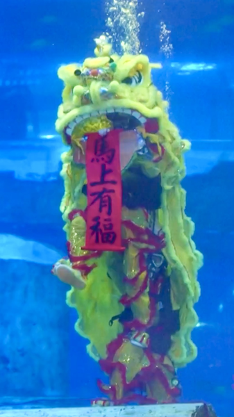 Guangzhou_Aquarium_Hosts_Spectacular_Underwater_Lion_Dance_and_Dunhuang_Fusion_Show_poster - Khabar Asia Guangzhou_Aquarium_Hosts_Spectacular_Underwater_Lion_Dance_and_Dunhuang_Fusion_Show video poster