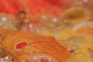 Savoring Hainan’s Heritage: The Art of Zaopocu video poster