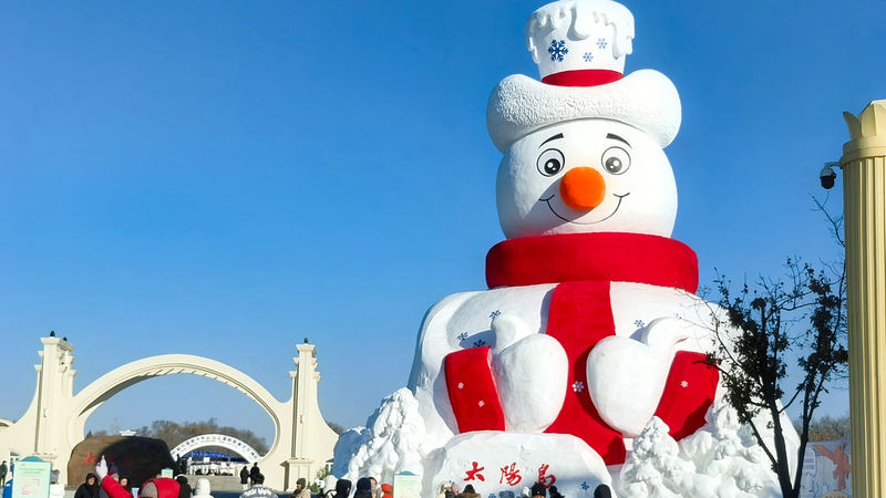 Harbin_s_38th_Snow_Expo_Showcases_Giant_Sculpture_Ahead_of_Spring_Festival_Gala video poster