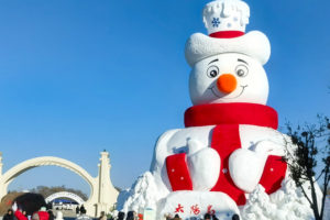 Harbin_s_Giant_Snow_Sculpture_Lights_Up_2026_Spring_Festival_Celebrations video poster