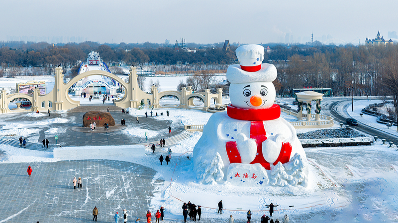 Harbin_s_Giant_Snow_Sculpture_Lights_Up_2026_Spring_Festival_Celebrations video poster