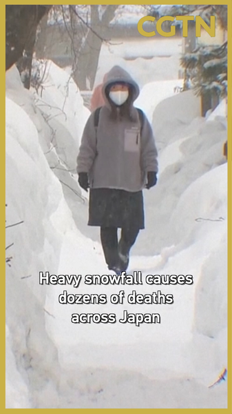 Heavy_Snowfall_Claims_45_Lives_Across_Japan_in_2026_Winter_Crisis video poster