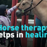 Horse_Therapy_Gains_Momentum_Ahead_of_Lunar_New_Year_2026 video poster
