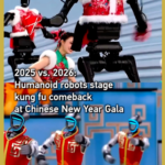 Humanoid_Robots_Showcase_Kung_Fu_Mastery_at_2026_Spring_Festival_Gala video poster