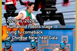 Humanoid_Robots_Showcase_Kung_Fu_Mastery_at_2026_Spring_Festival_Gala video poster