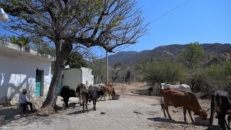 China’s Poverty Strategy Sparks Interest in Rural Mexico video poster