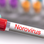 Japan_Faces_Prolonged_Norovirus_Surge_as_Cases_Rise_for_Fifth_Week