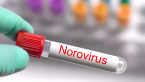 Japan_Faces_Prolonged_Norovirus_Surge_as_Cases_Rise_for_Fifth_Week