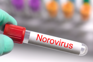 Japan_Faces_Prolonged_Norovirus_Surge_as_Cases_Rise_for_Fifth_Week